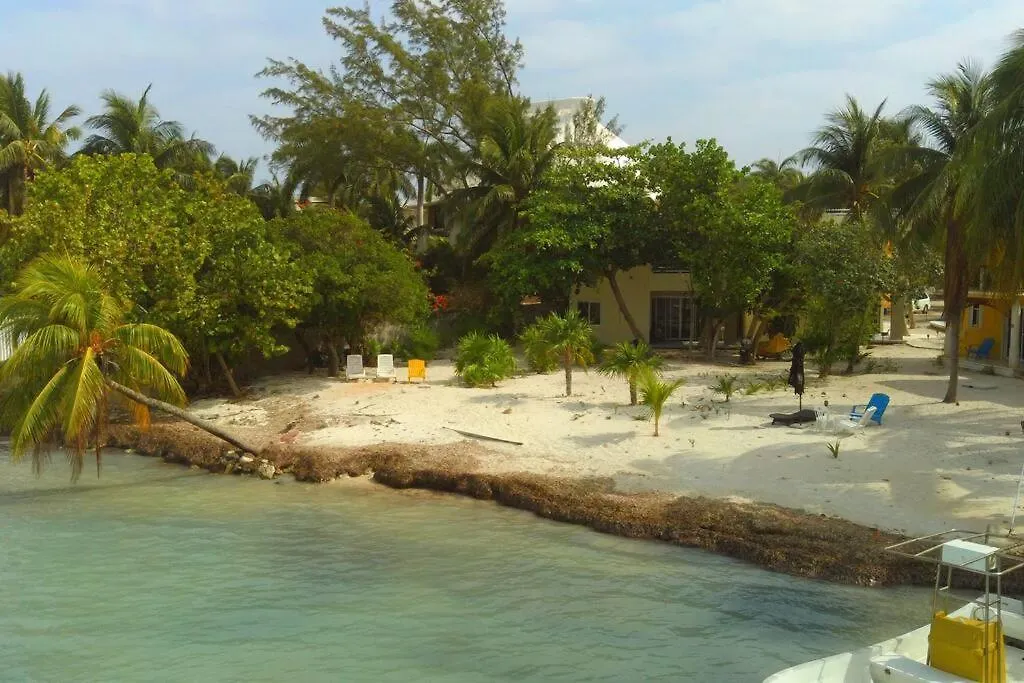 איסלה מוחרס Marysol Beachfront Next To Nomads D2 0*, איסלה מוחרס