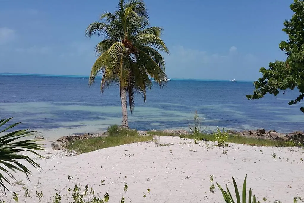 Marysol Beachfront Next To Nomads D2 Apartment Isla Mujeres Mexico