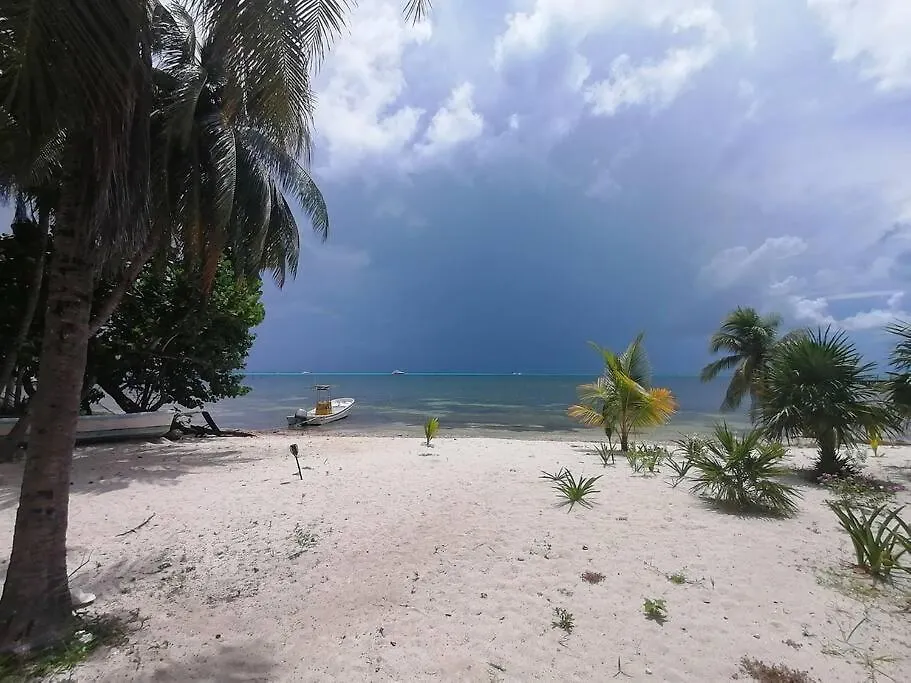 Marysol Beachfront Next To Nomads D2 Apartment Isla Mujeres