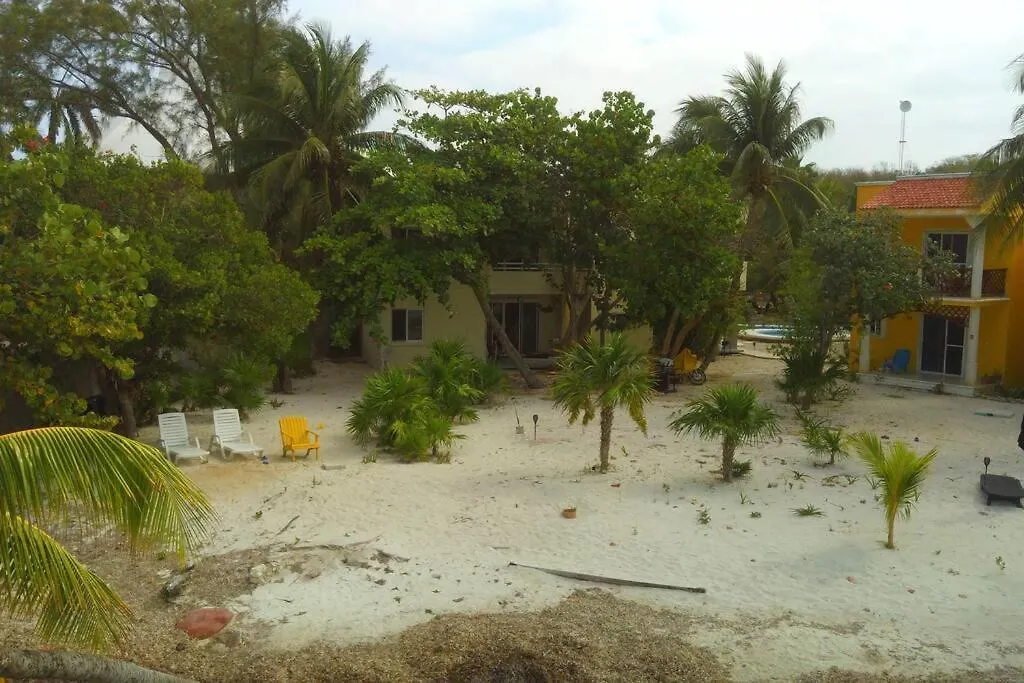 Marysol Beachfront Next To Nomads D2 Apartment Isla Mujeres